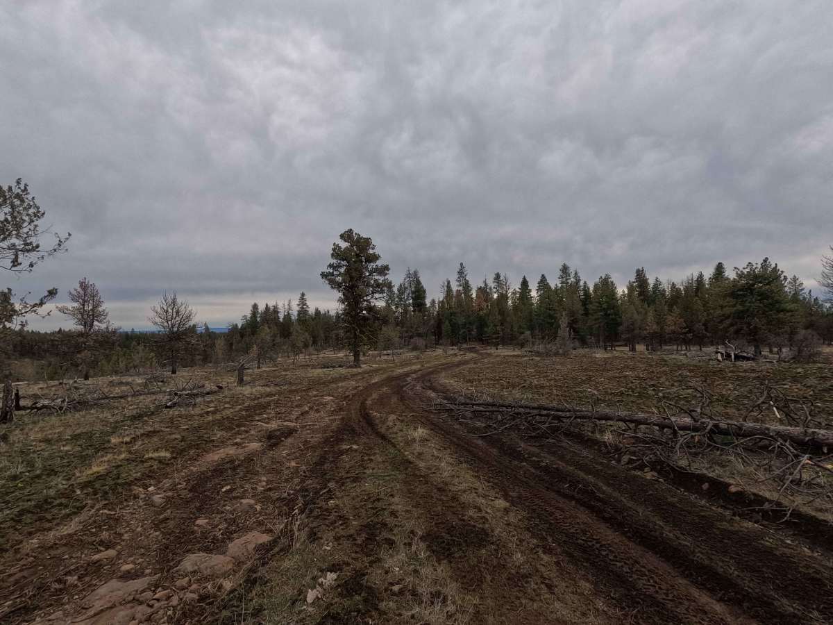 FS 2110 photo 5