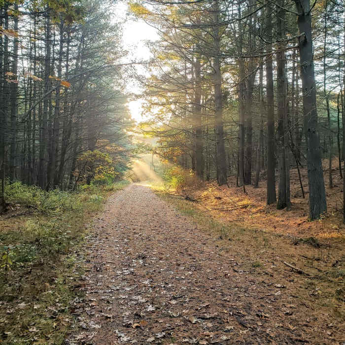 Near Assabet River National Wildlife Refuge + Rail Trail Near Assabet River National Wildlife Refuge + Rail Trail