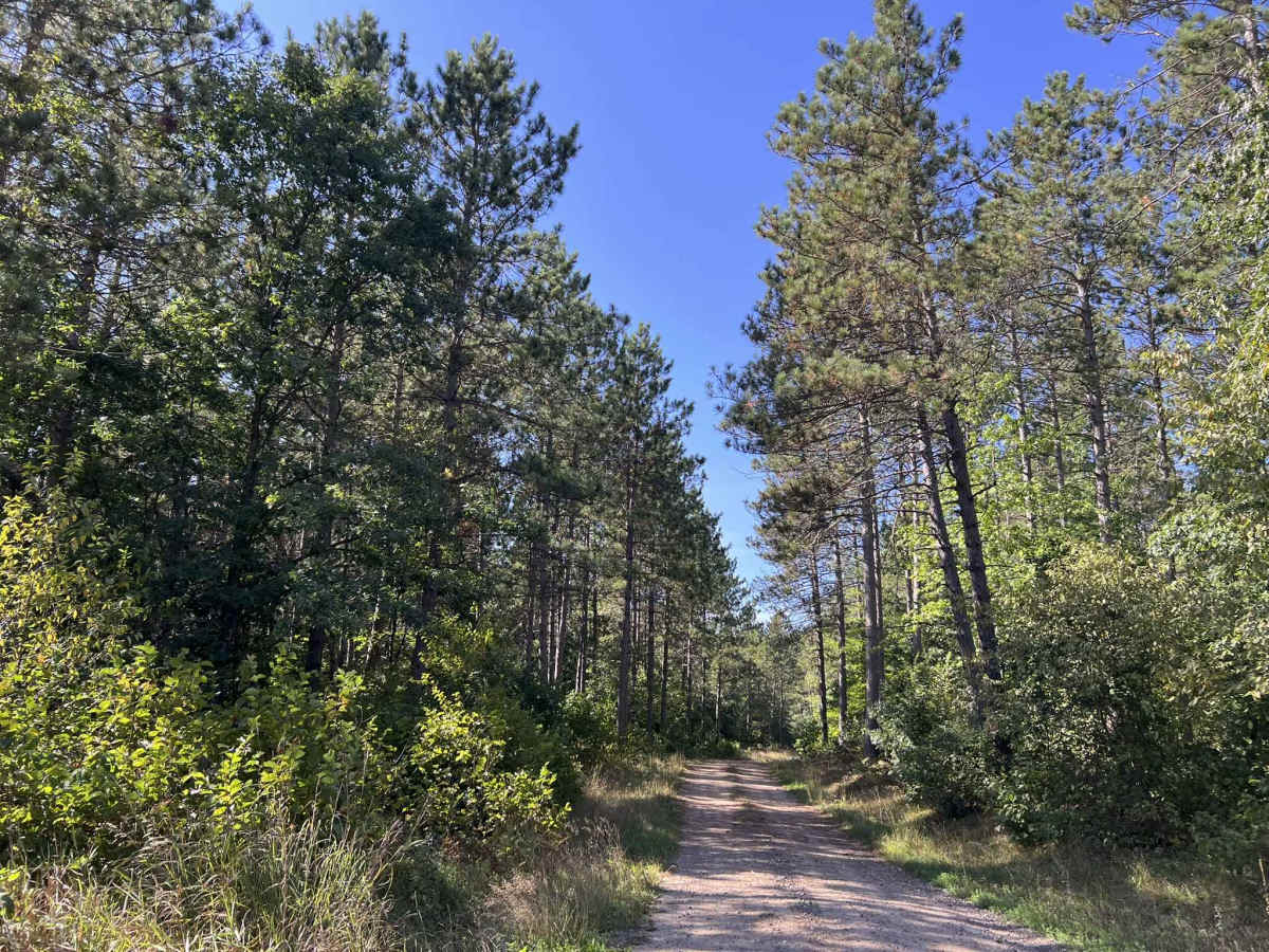 FS 2325 trail photo