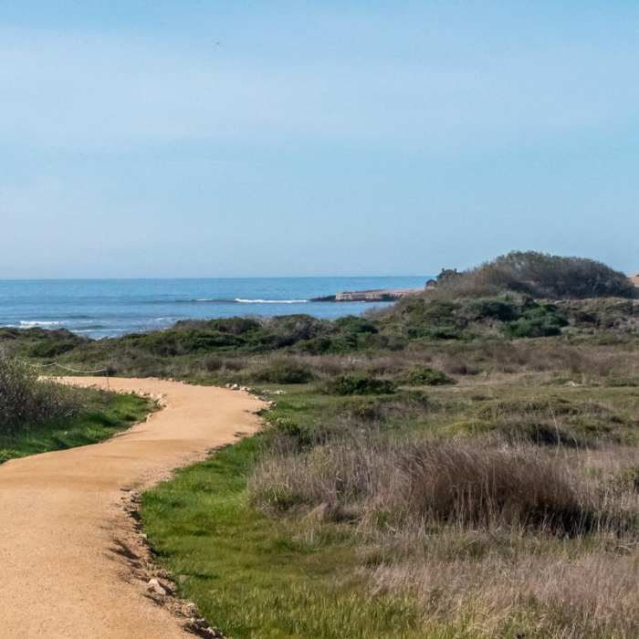 Near Nuevo Point Trail Near Nuevo Point Trail