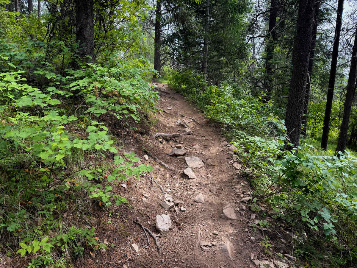 Ruftac Trail 146   photo 6