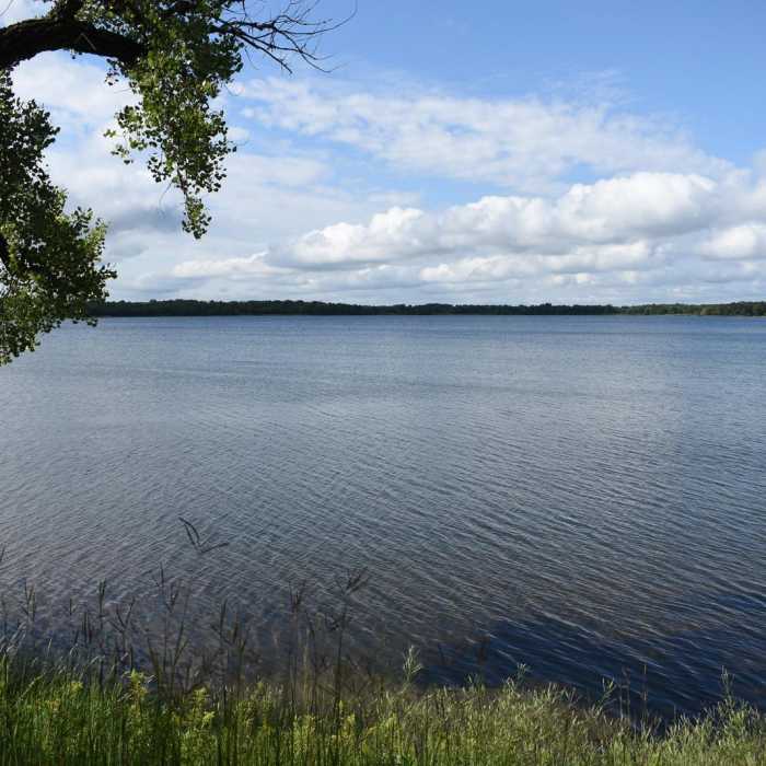 Near Annie Battle Lake Trail Near Annie Battle Lake Trail