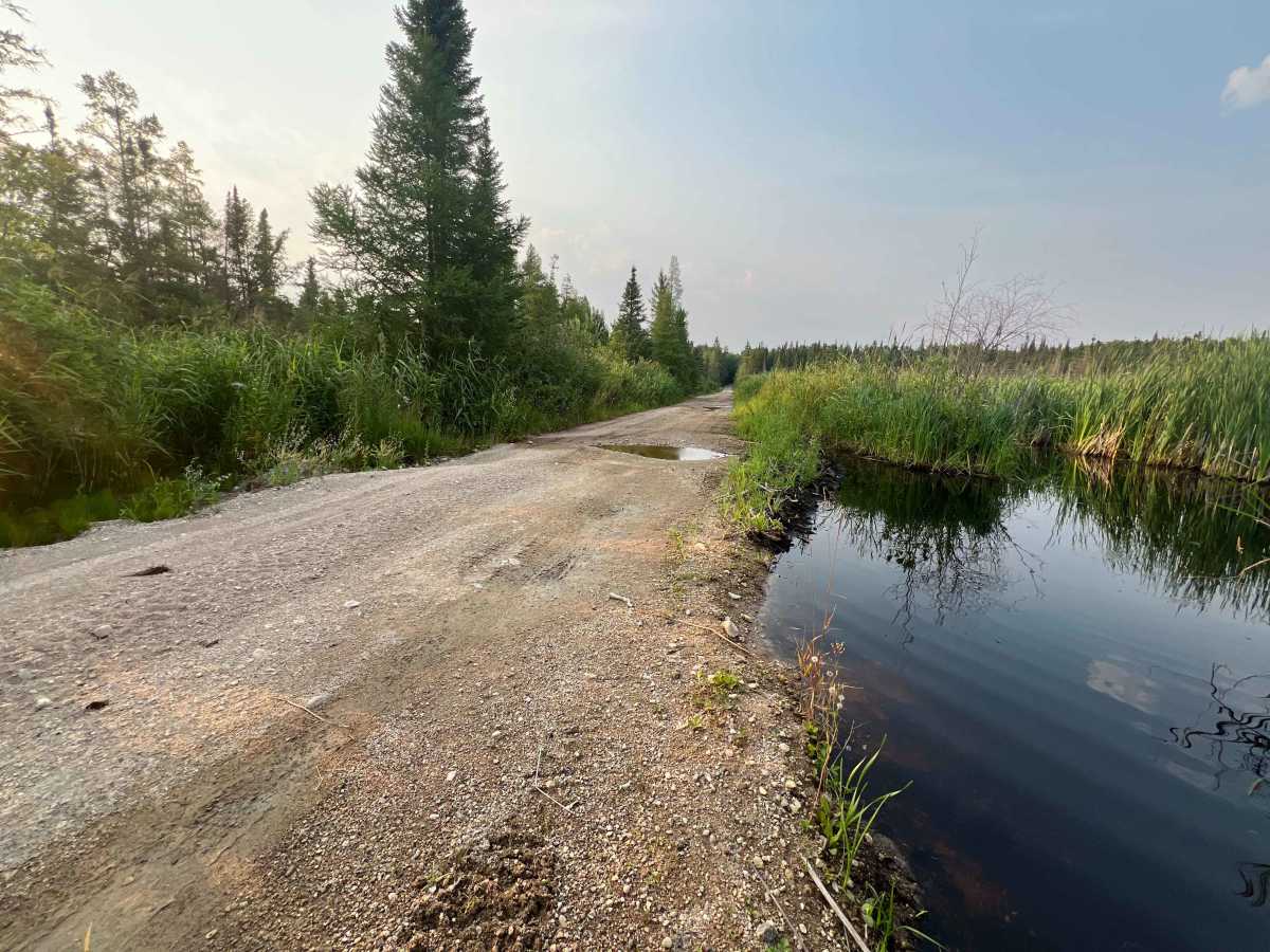 Agassiz Road photo 3