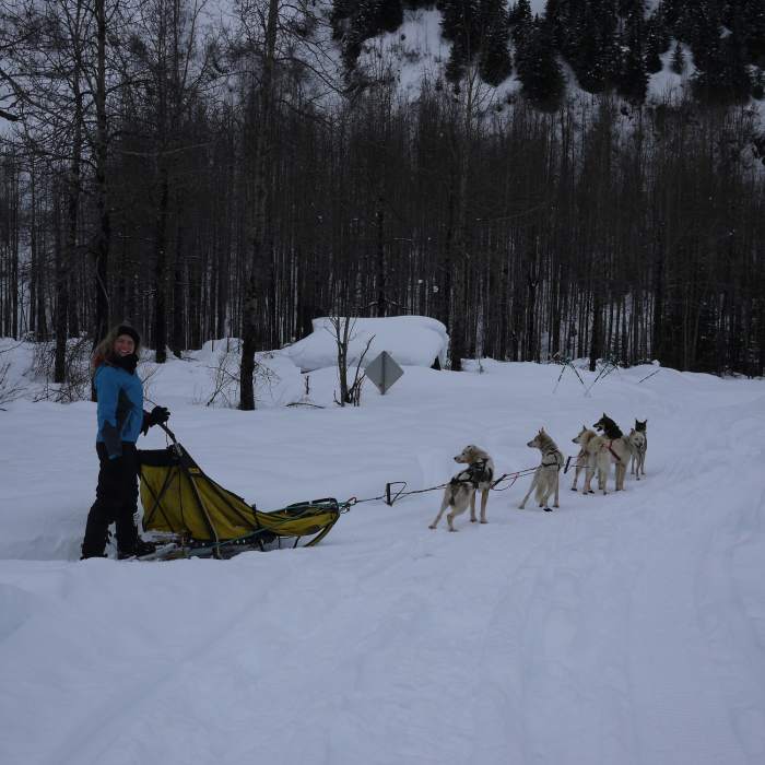Near Harding Icefield Out and Back