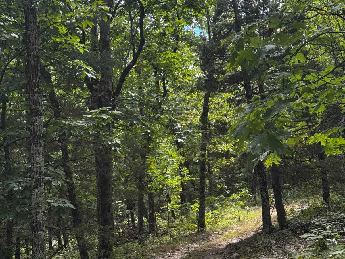 Loop Express trail photo