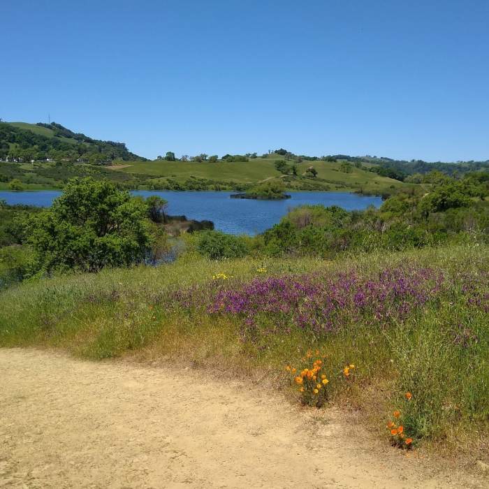 Near Grant View Loop