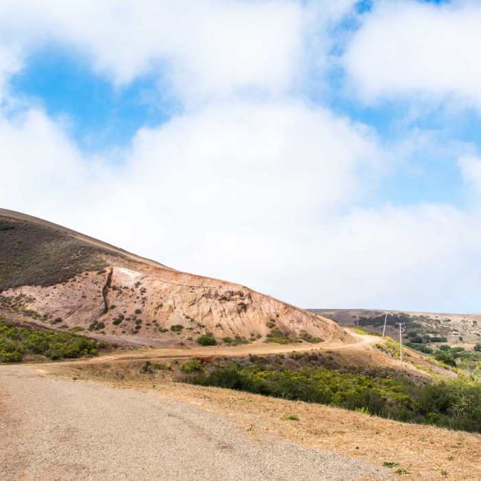 Near Point Sal Trail Near Point Sal Trail