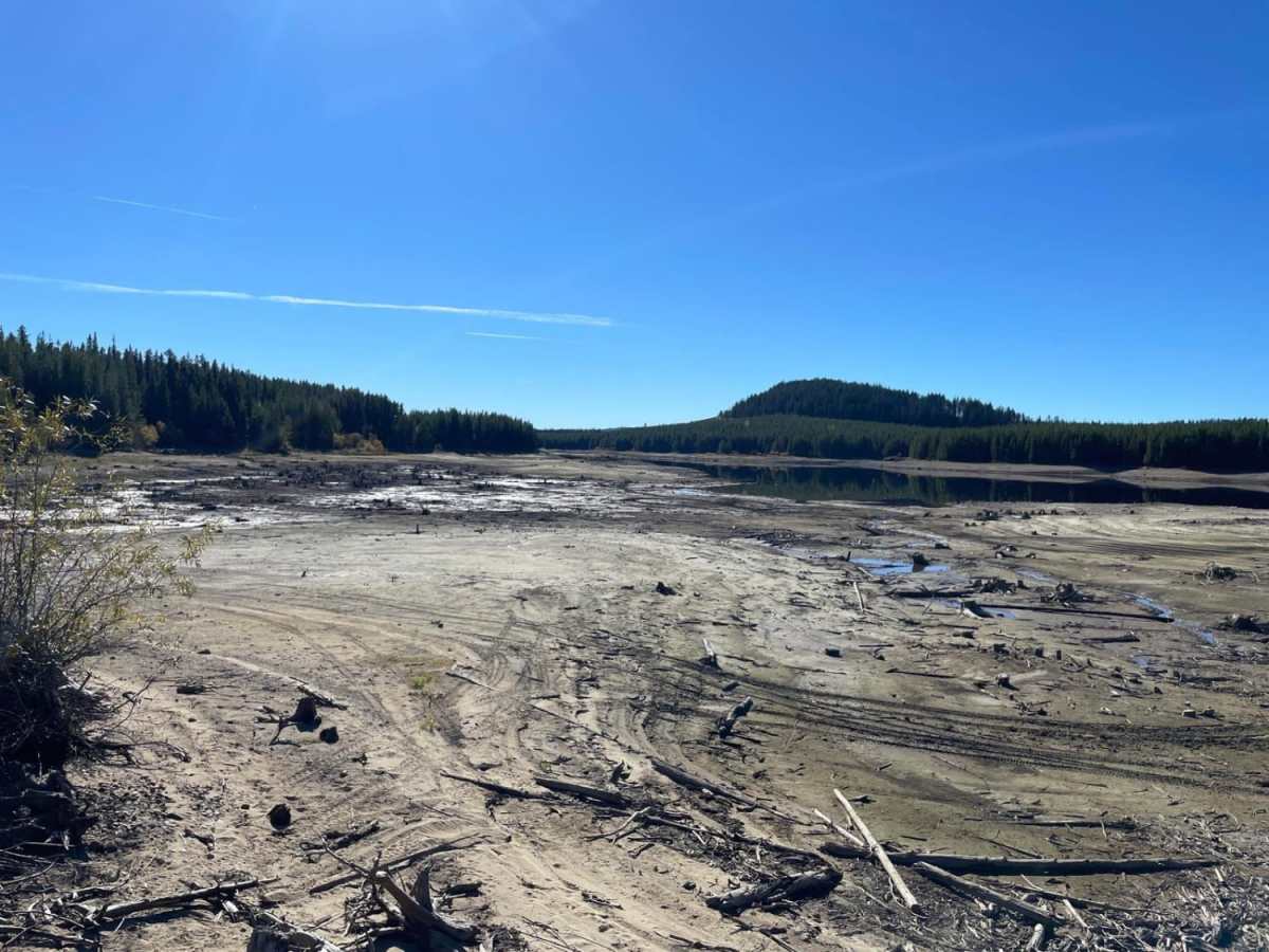 Aberdeen FSR to Ideal Lake photo 4