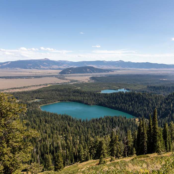 Near Lupine Meadows to Lower Saddle