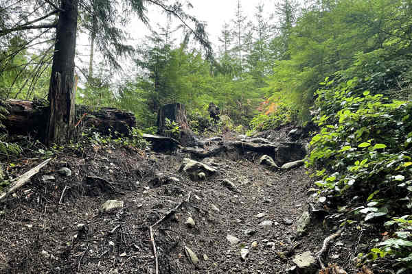 Trials Trail