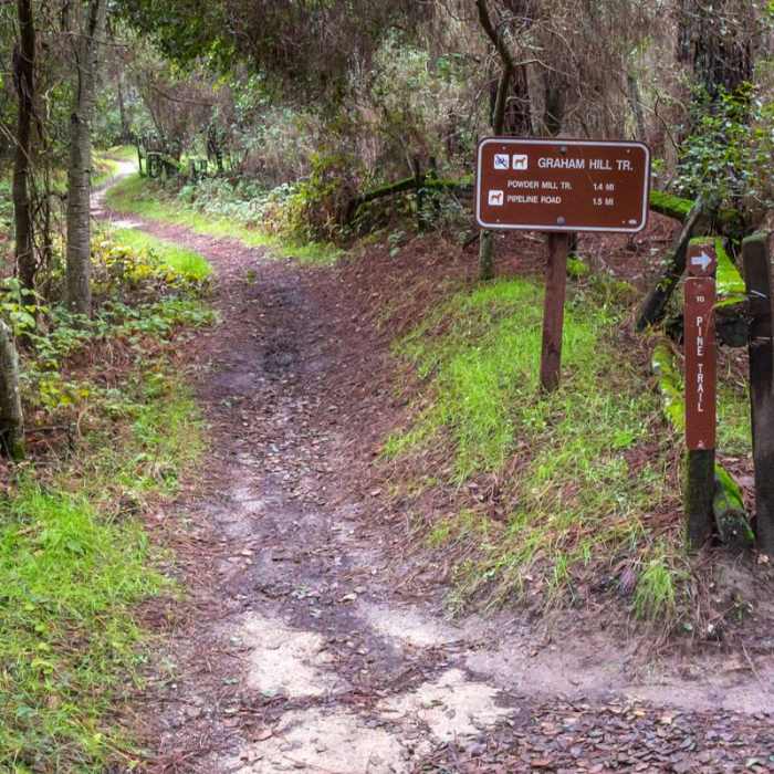 Near Graham Hill Trail Near Graham Hill Trail