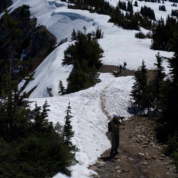 Near Sourdough Ridge