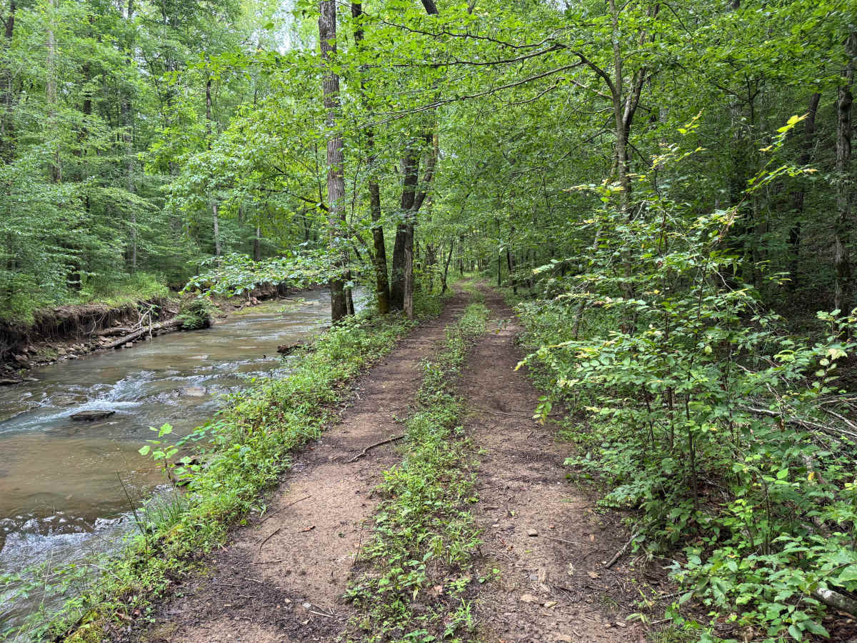 Bear Branch photo 5