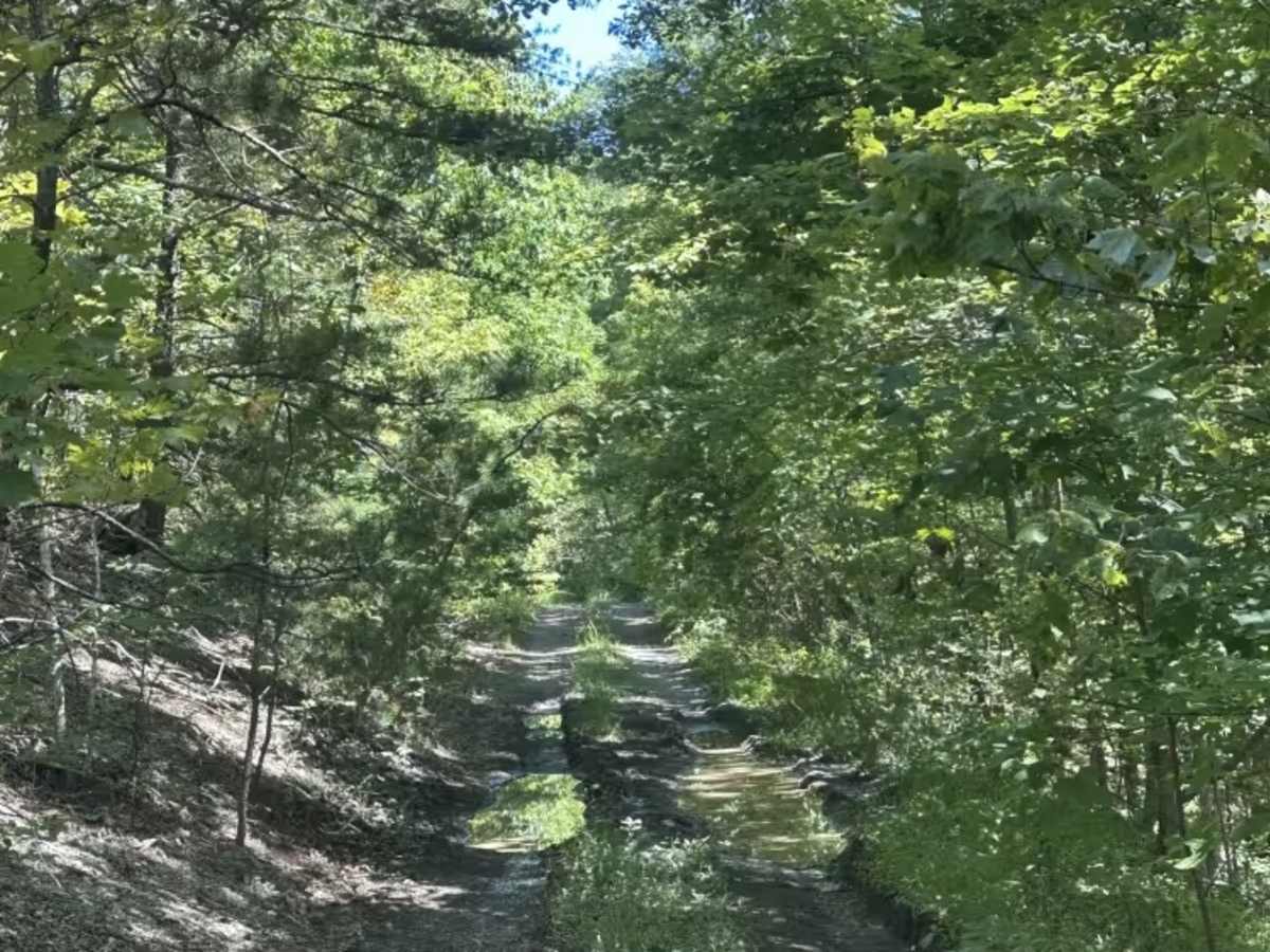 Wilson Spur  photo 5