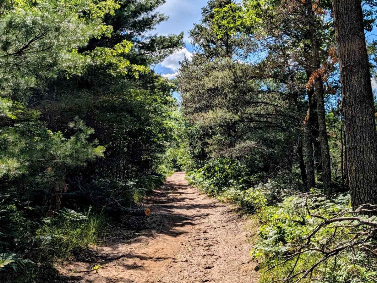 Arrowhead Trail photo 3