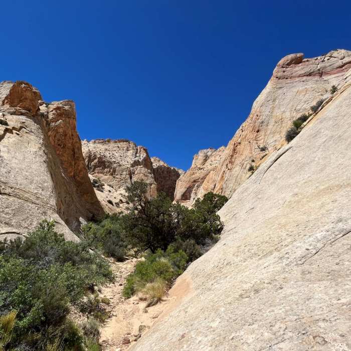 Near Surprise Canyon Trail