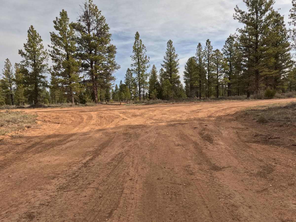 Syrett - FS 30103 trail photo