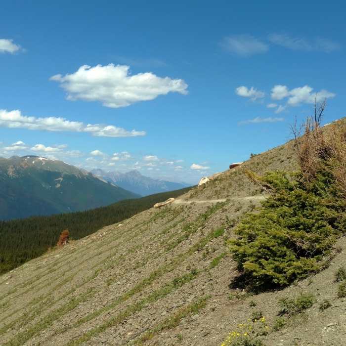 Near Cavell Meadows Trail