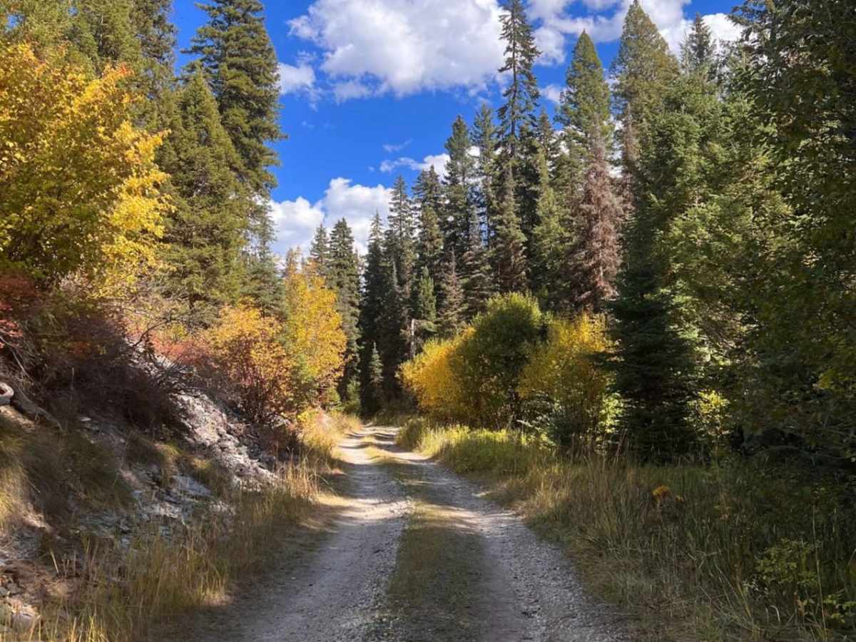 Weasel Creek photo 5
