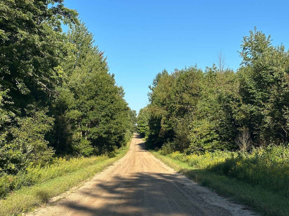 Strief Road photo 2