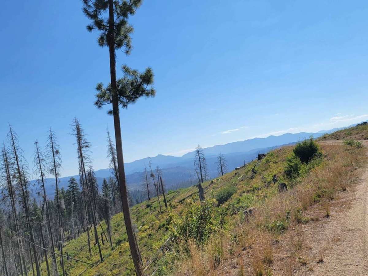 Whoop Um Up Trail photo 4