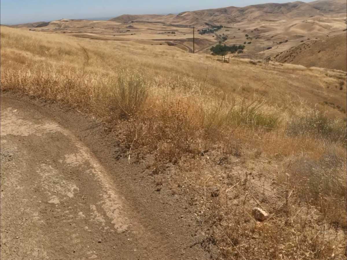 Ridge trail photo 6