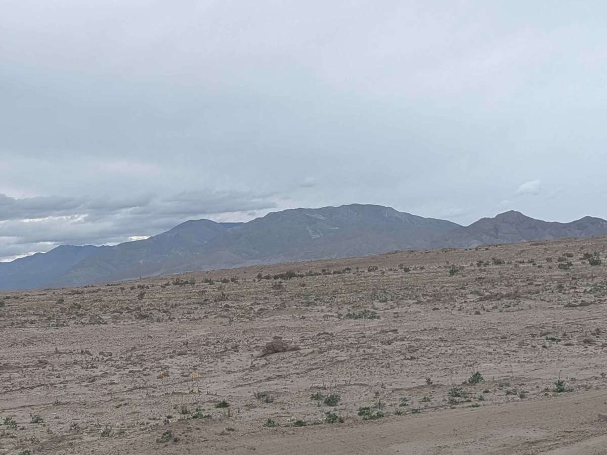 Textbook Trail photo 6