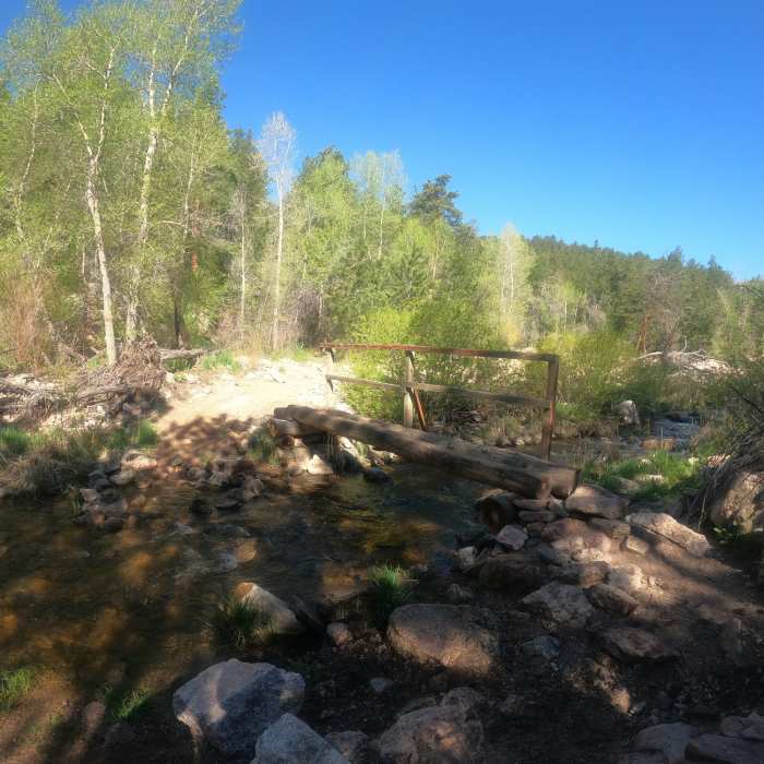 Near Lion Gulch Trail #949