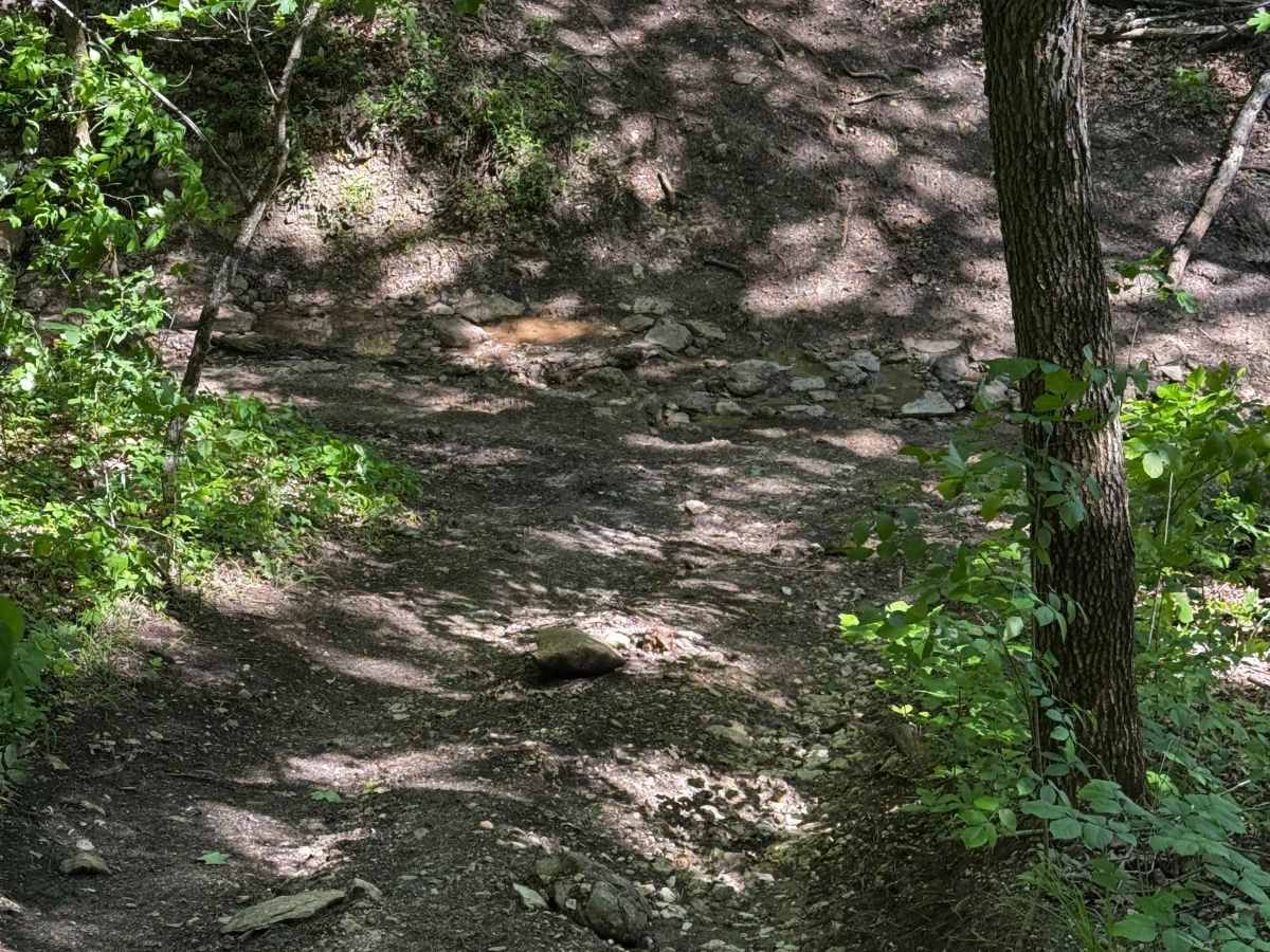 Inner Track 29  photo 2