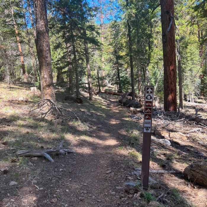 Near Navajo Spring Trail