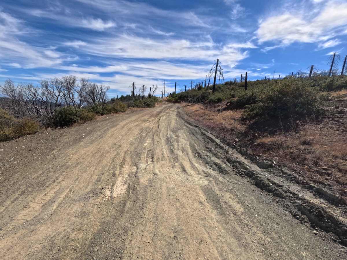 Eagle Rock - FS 24N36 photo 6