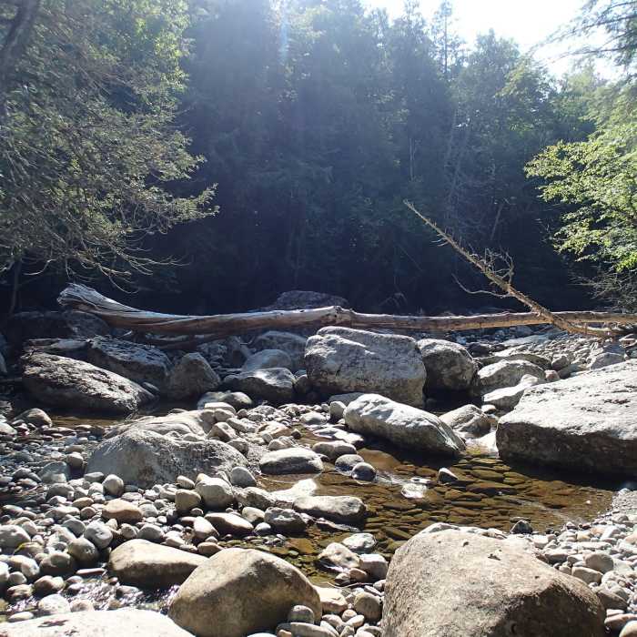 First crossing point for Indian Pass Brook. Near Street and Nye Trail