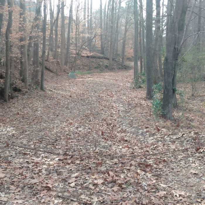 Near Lake Lynn Trail