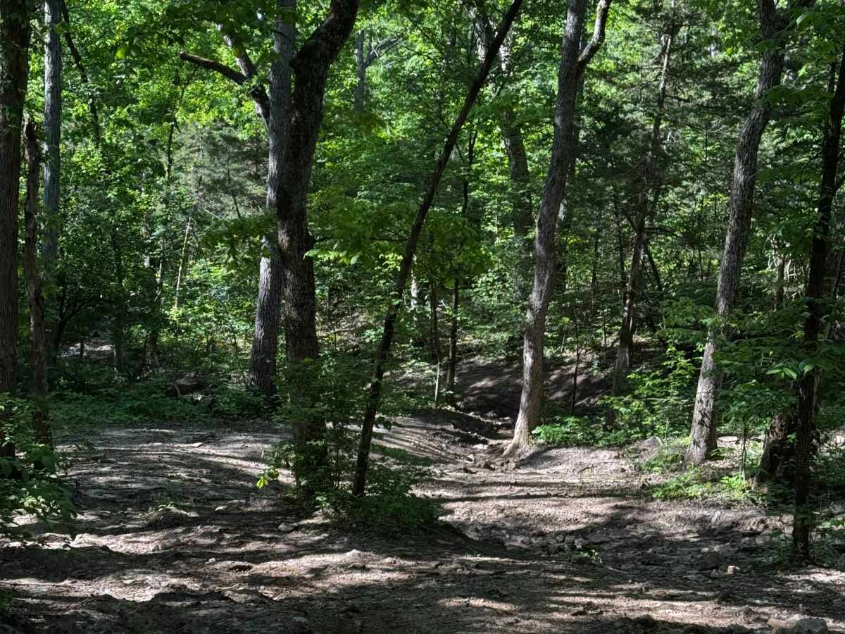 Inner Track 7 trail photo