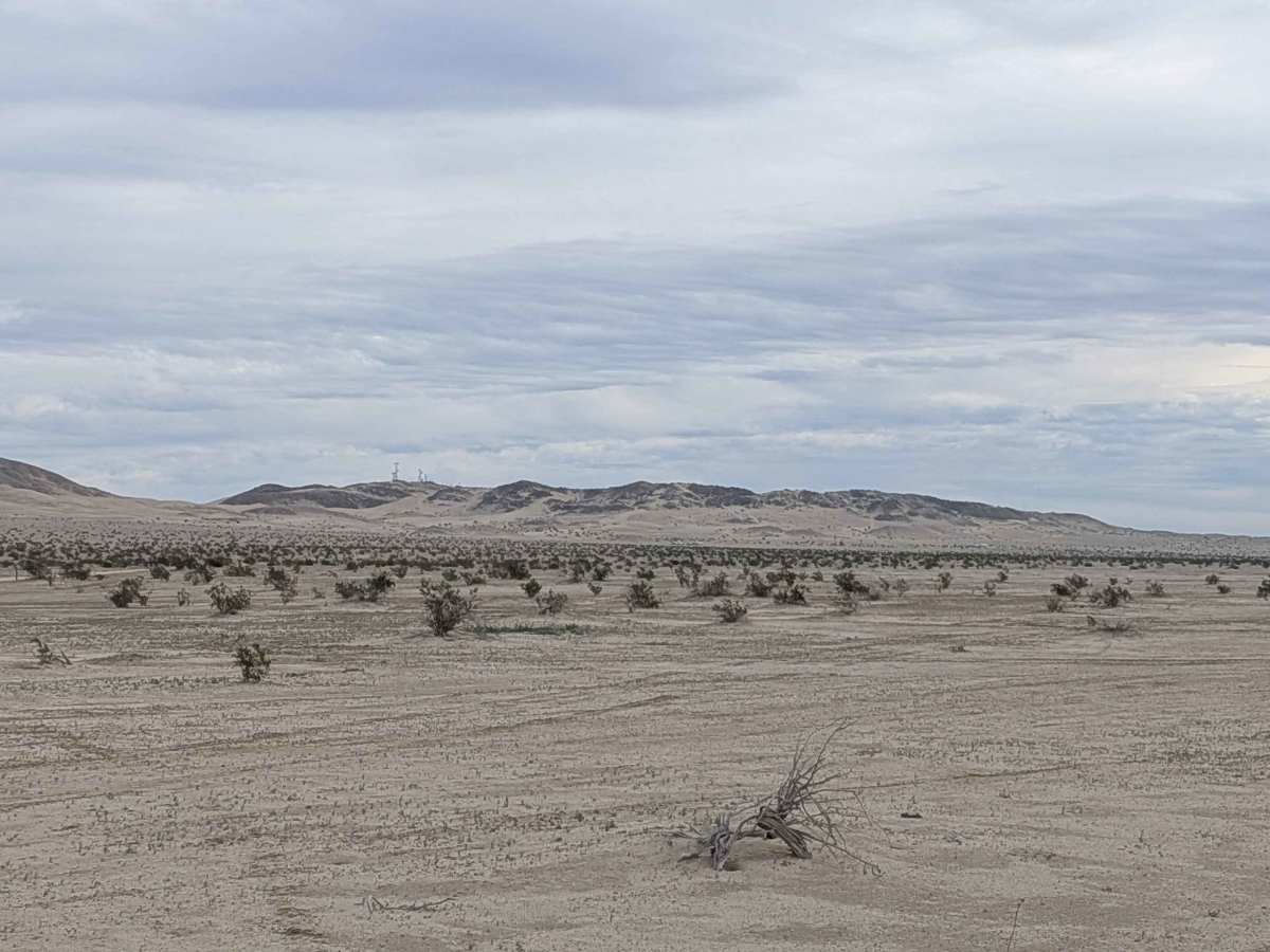 BLM 009 photo 4