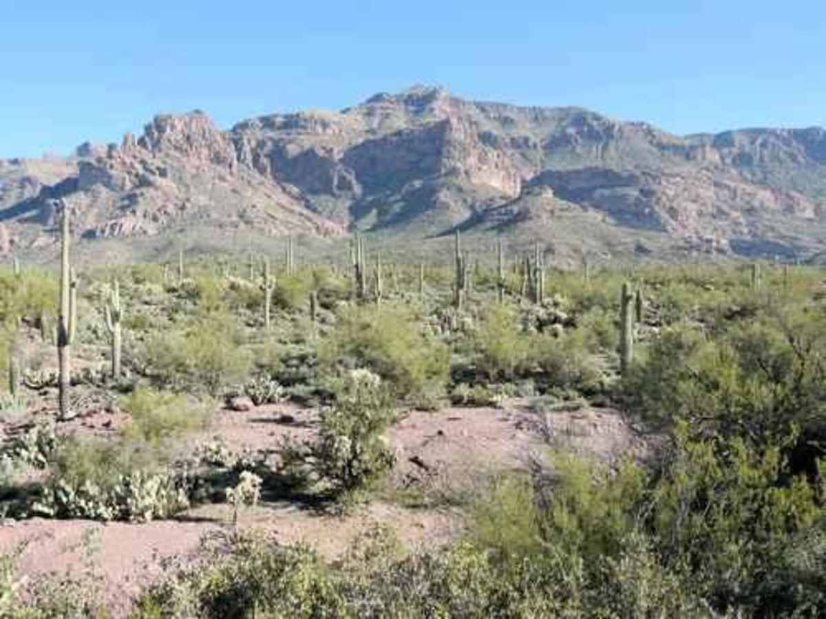 Superstition Backroads photo 2