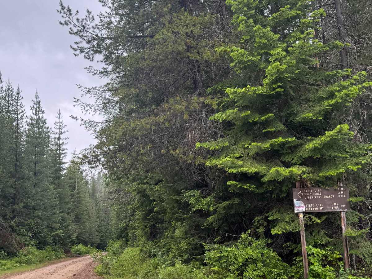 Lamb Creek Connector - FS 219 trail photo