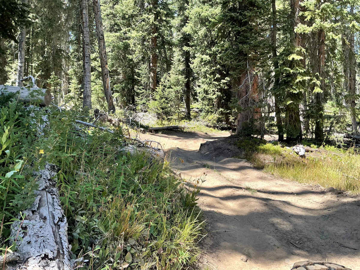 Hunter Reservoir Trail photo 3
