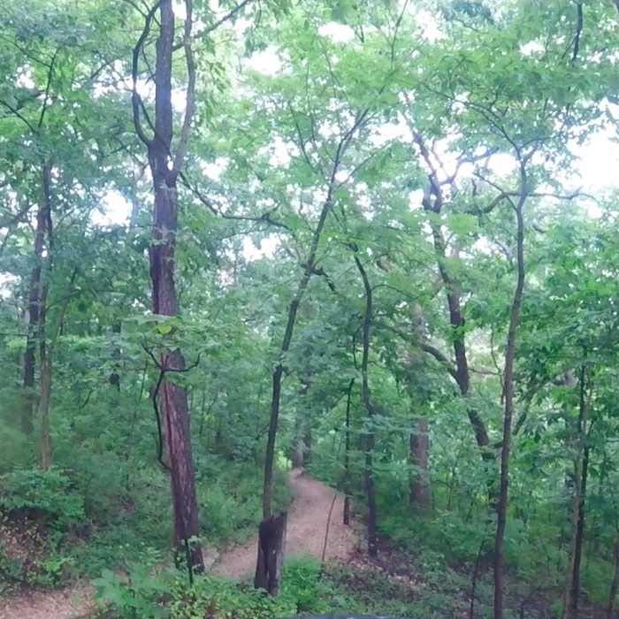 Bend in Grotpeter Trail take from my GoPro while taking a rest off to the side. Near Grotpeter Trail