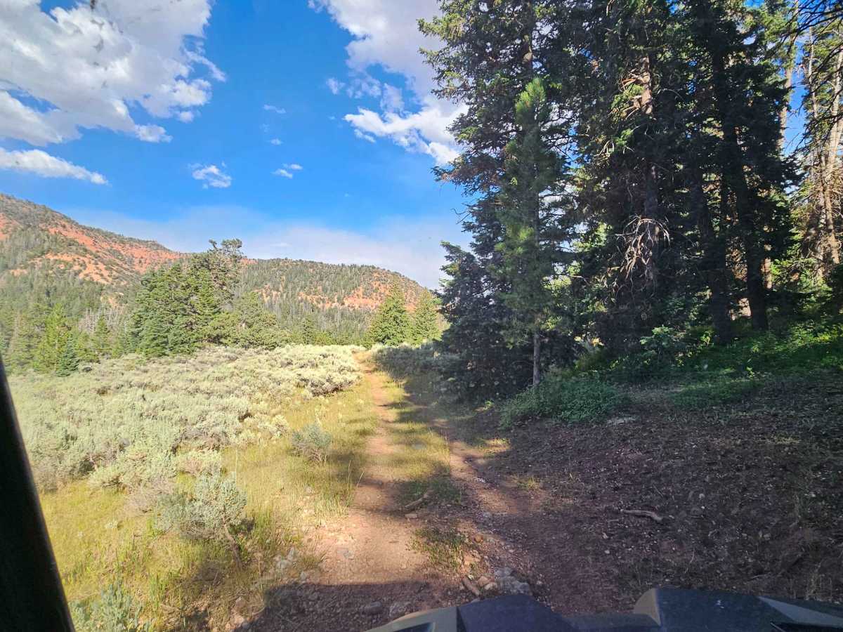 Strawberry Canyon photo 2