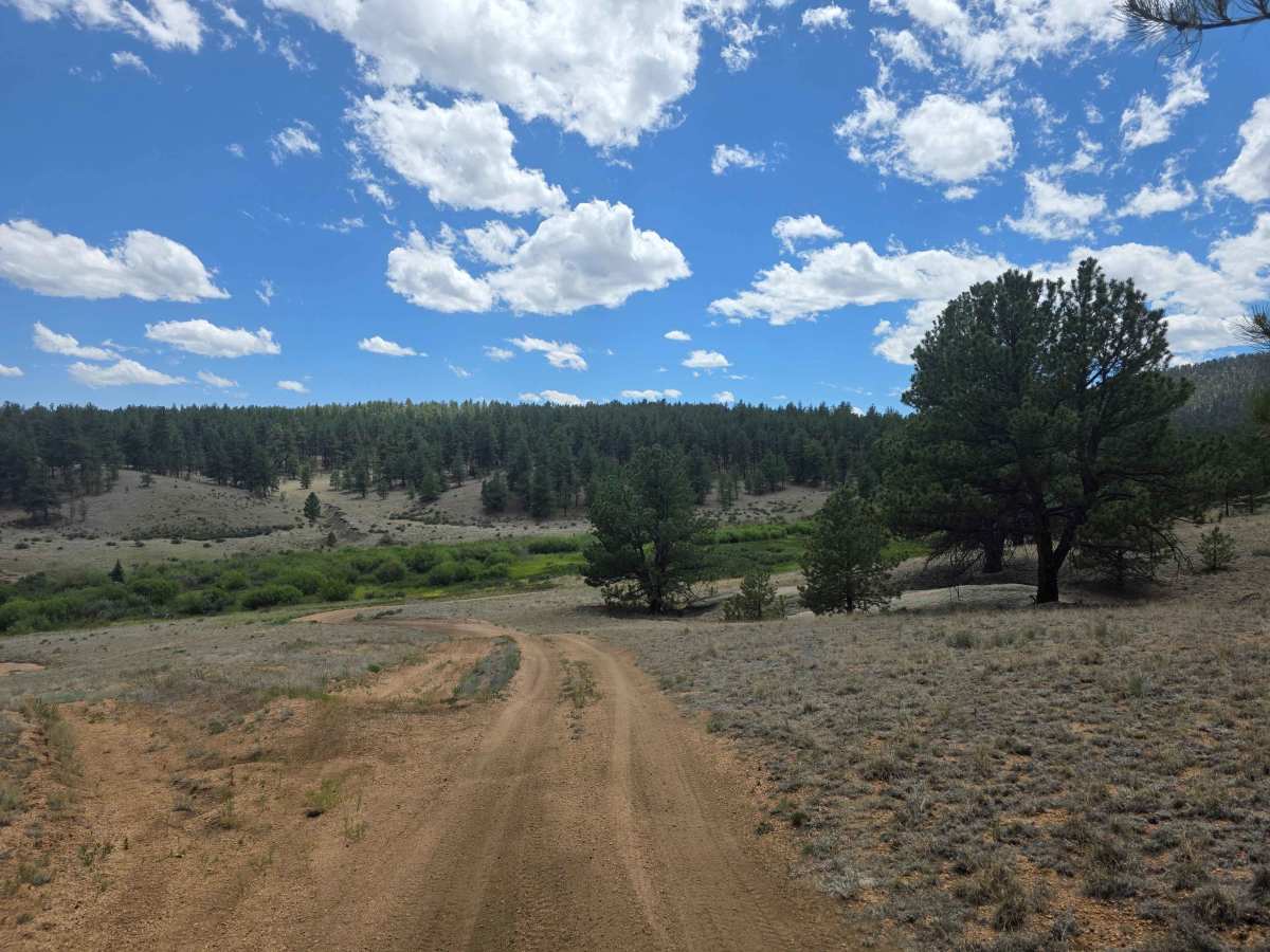 Fish Creek Road - FS 877 photo 5