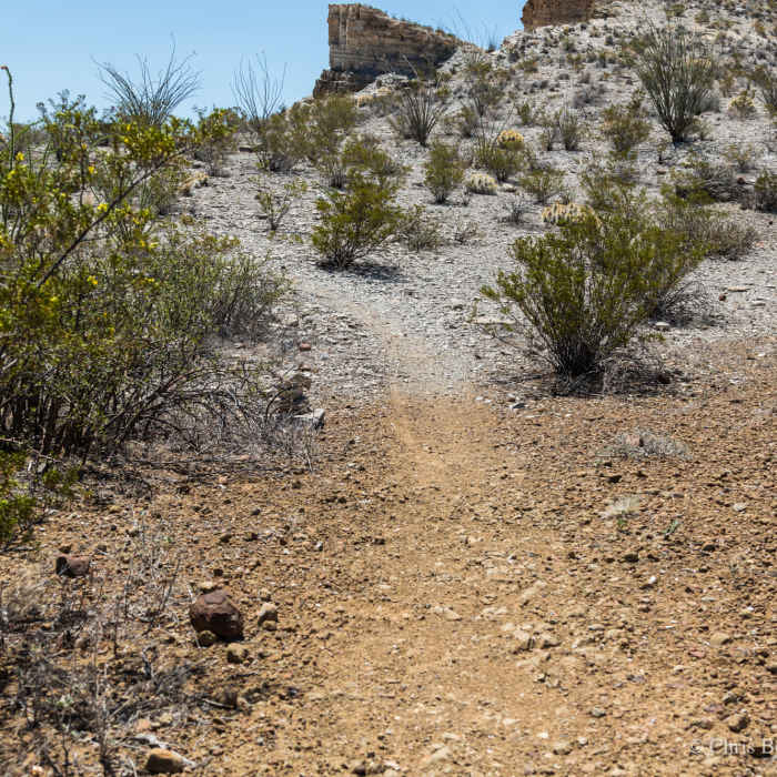Most of the trail is sandstone but there is the sharp change from sandstone to mudstone. Near Fresno Divide Trail