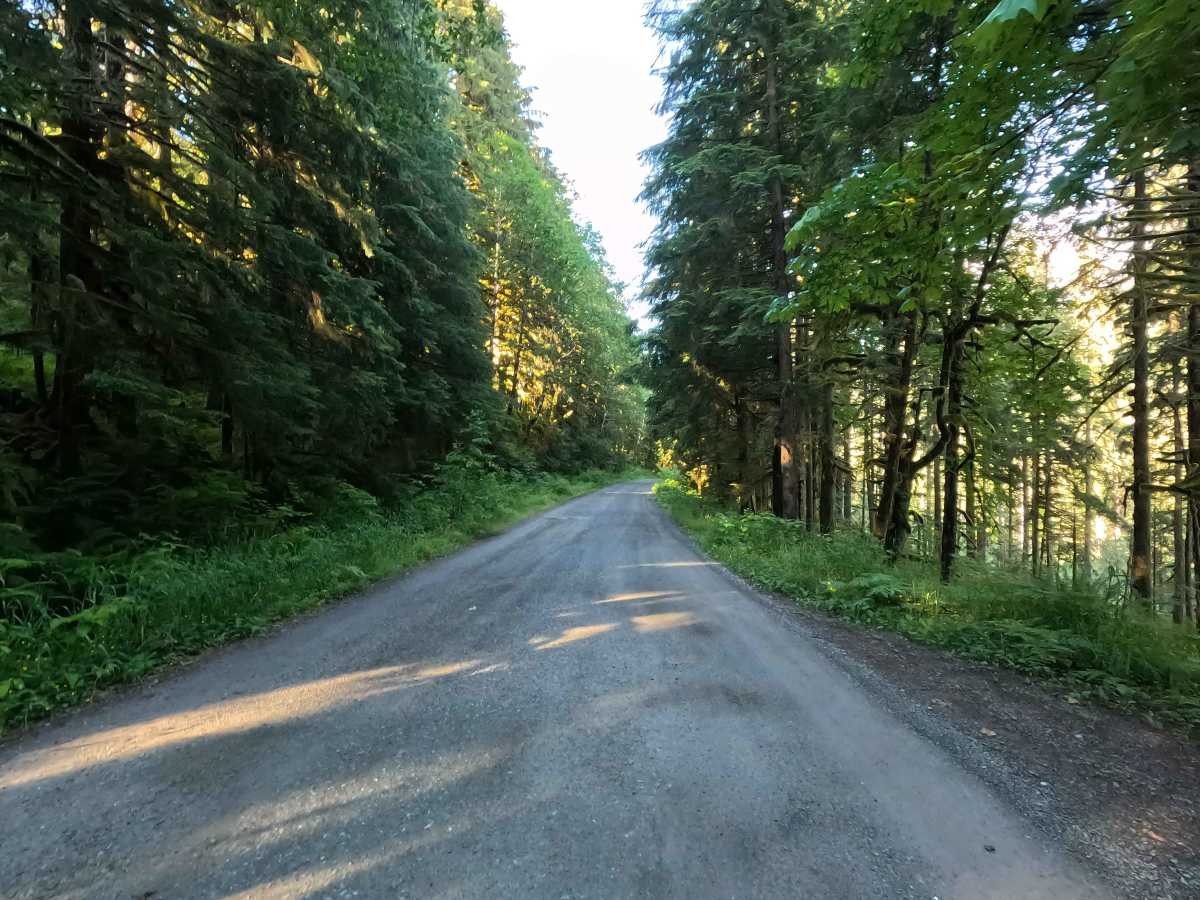 Loomis Nooksack - FS 12 photo 3