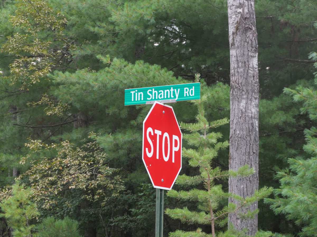 Tin Shanty Road photo 4