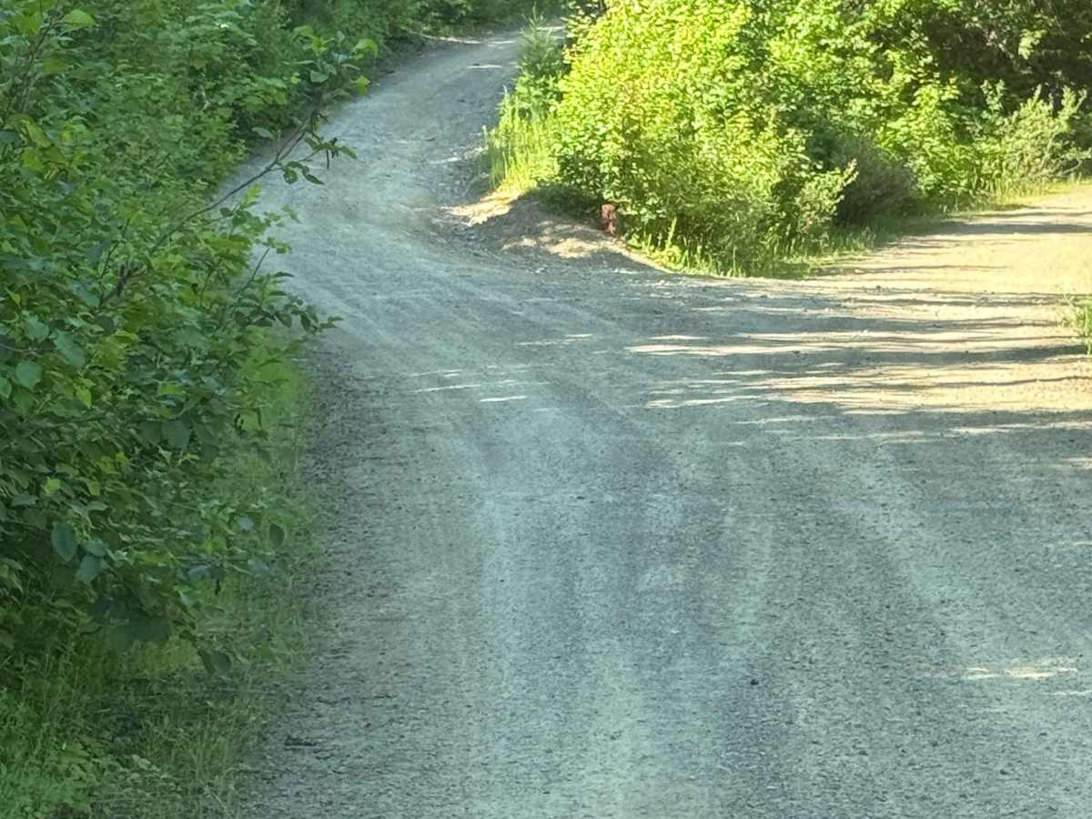 Bumblebee Creek - FS 796 photo 6