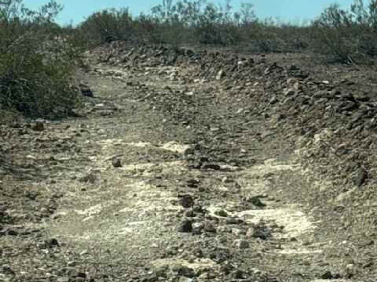 BLM PE1018 photo 5