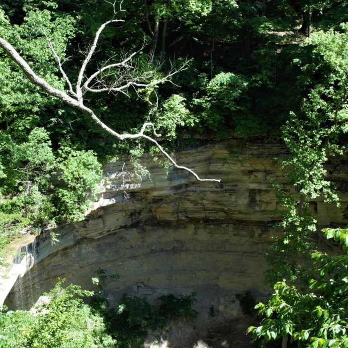 Near Clifty Falls State Park Loop