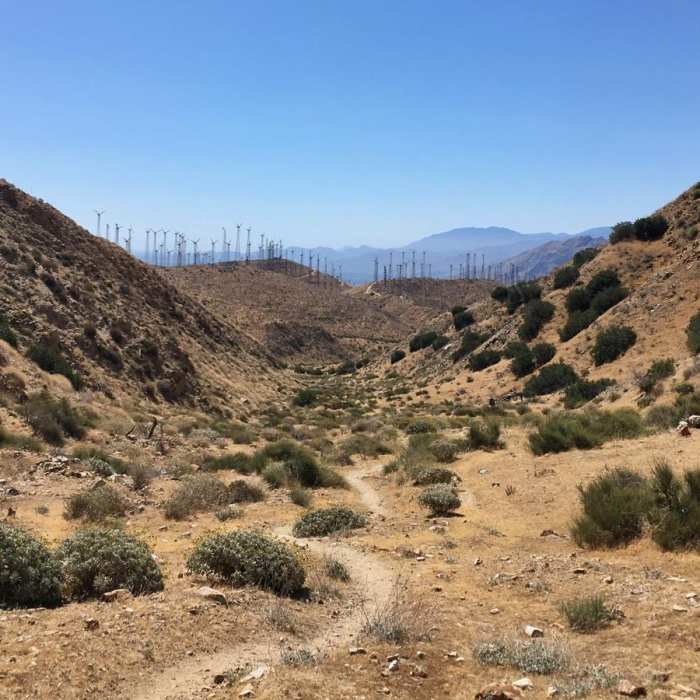 Near Pacific Crest Trail: California Section C