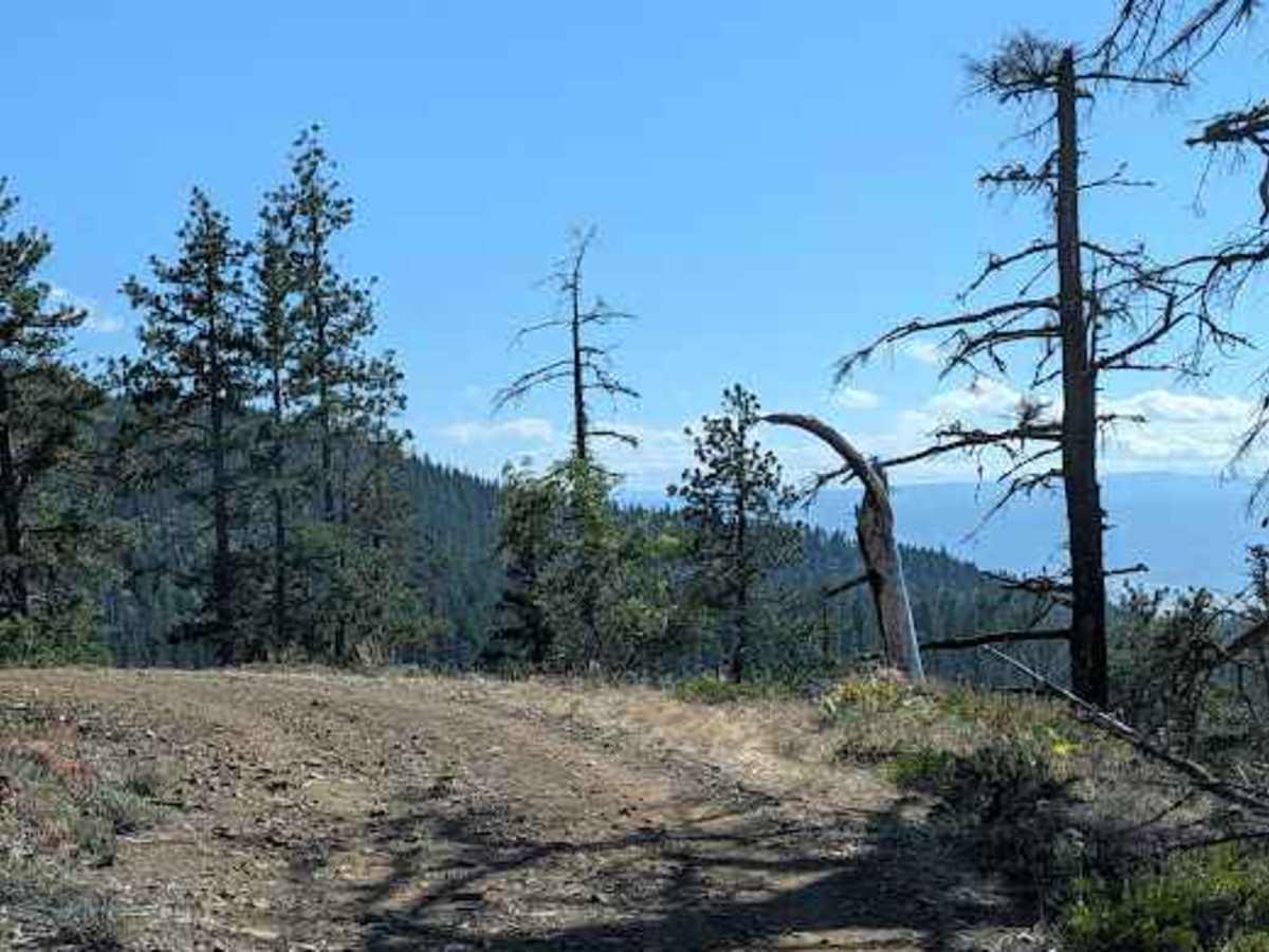 FS 3507-132 trail photo
