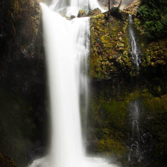 Near Falls Creek Falls